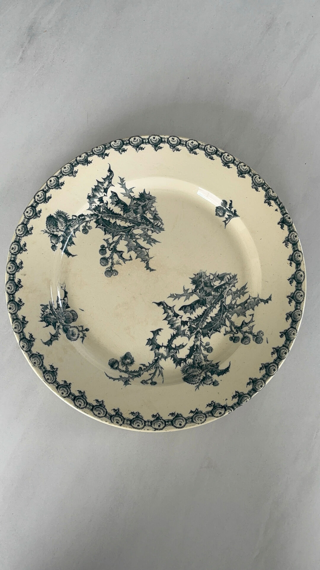 Old round ironstone plate from Gien, Chardons model - serving plate.