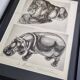 Illustrated plate, Studies of a lion and a hippopotamus, signed A. Margat, 1930