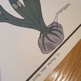 Rossignol school poster