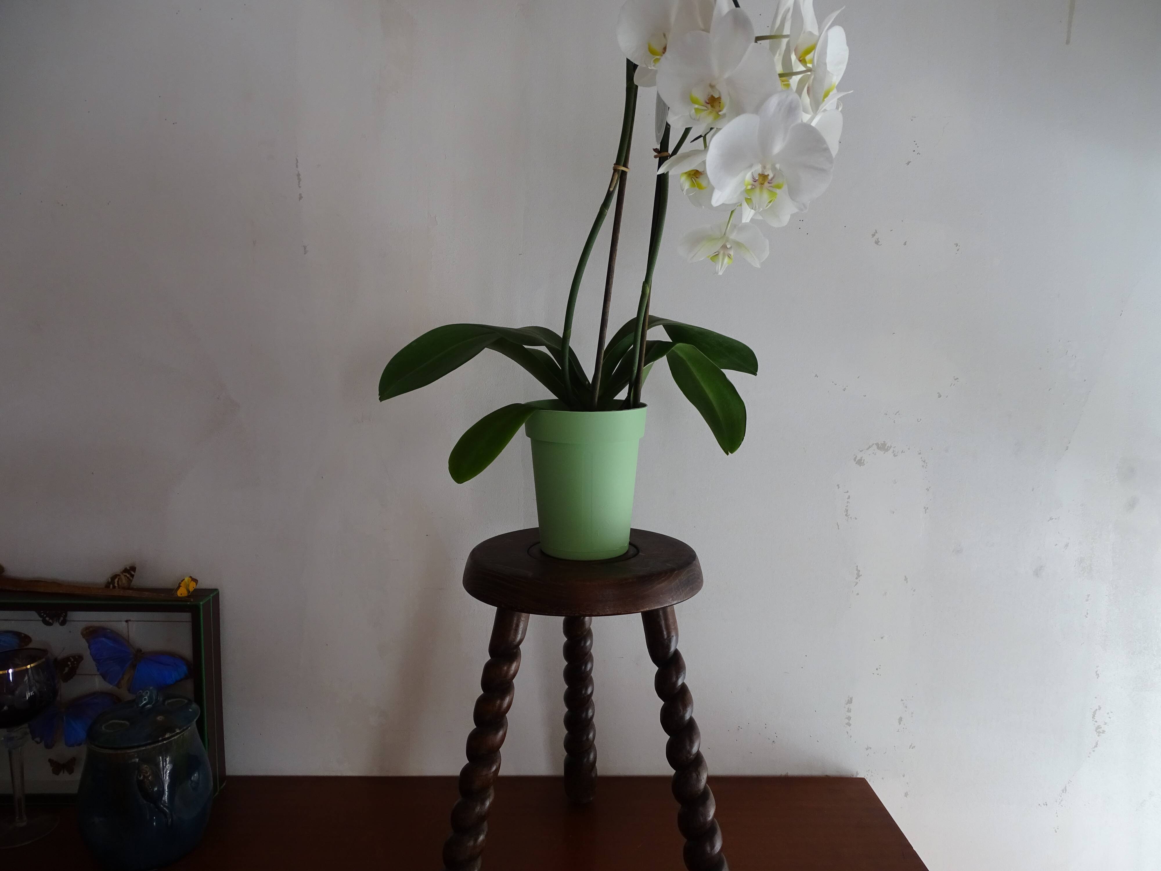 Vintage turned wood tripod stool