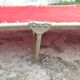 Folding camp bed vintage chaise longue canvas red brand Samti
