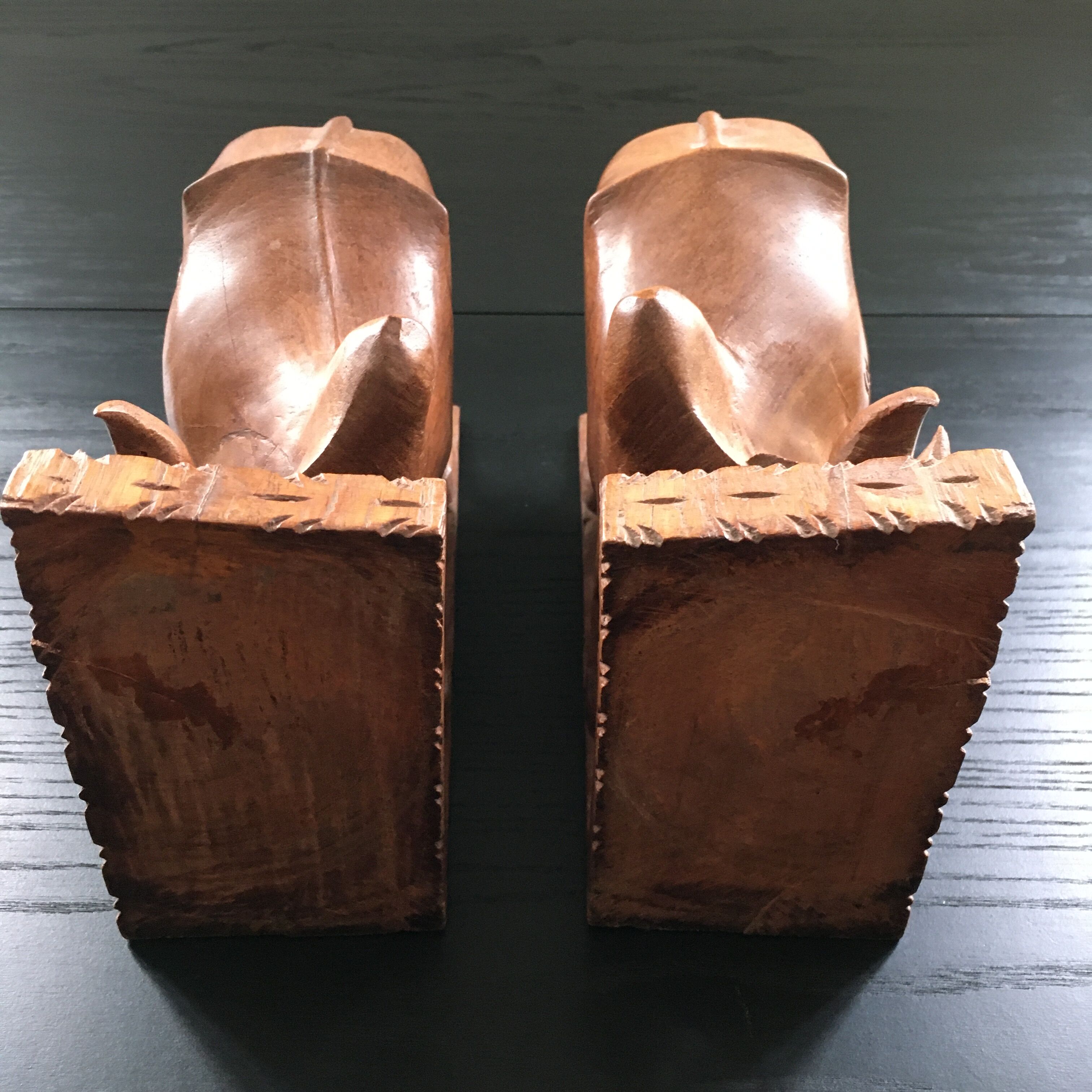 Pair of greenhouse buffalo books