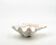 Vide poche coquillage bénitier naturel blanc, années 70