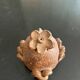 terracotta salt and pepper shaker birds