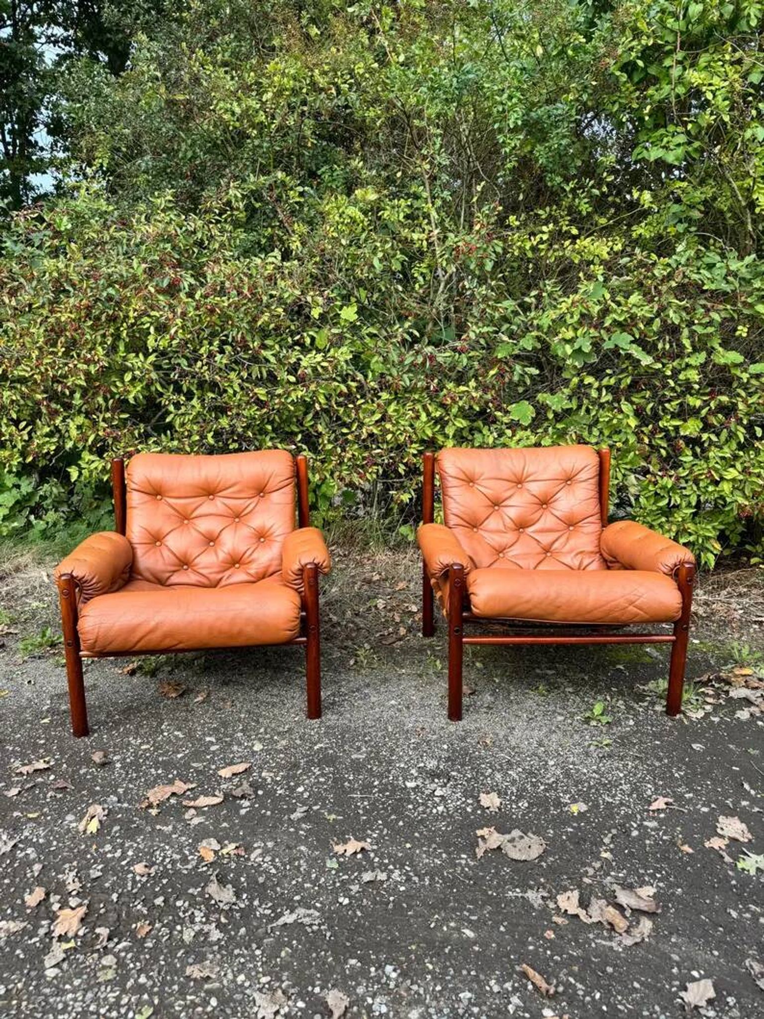 Pair of lounge chairs "Dickie" by Arne Norell – Sweden, 1970s