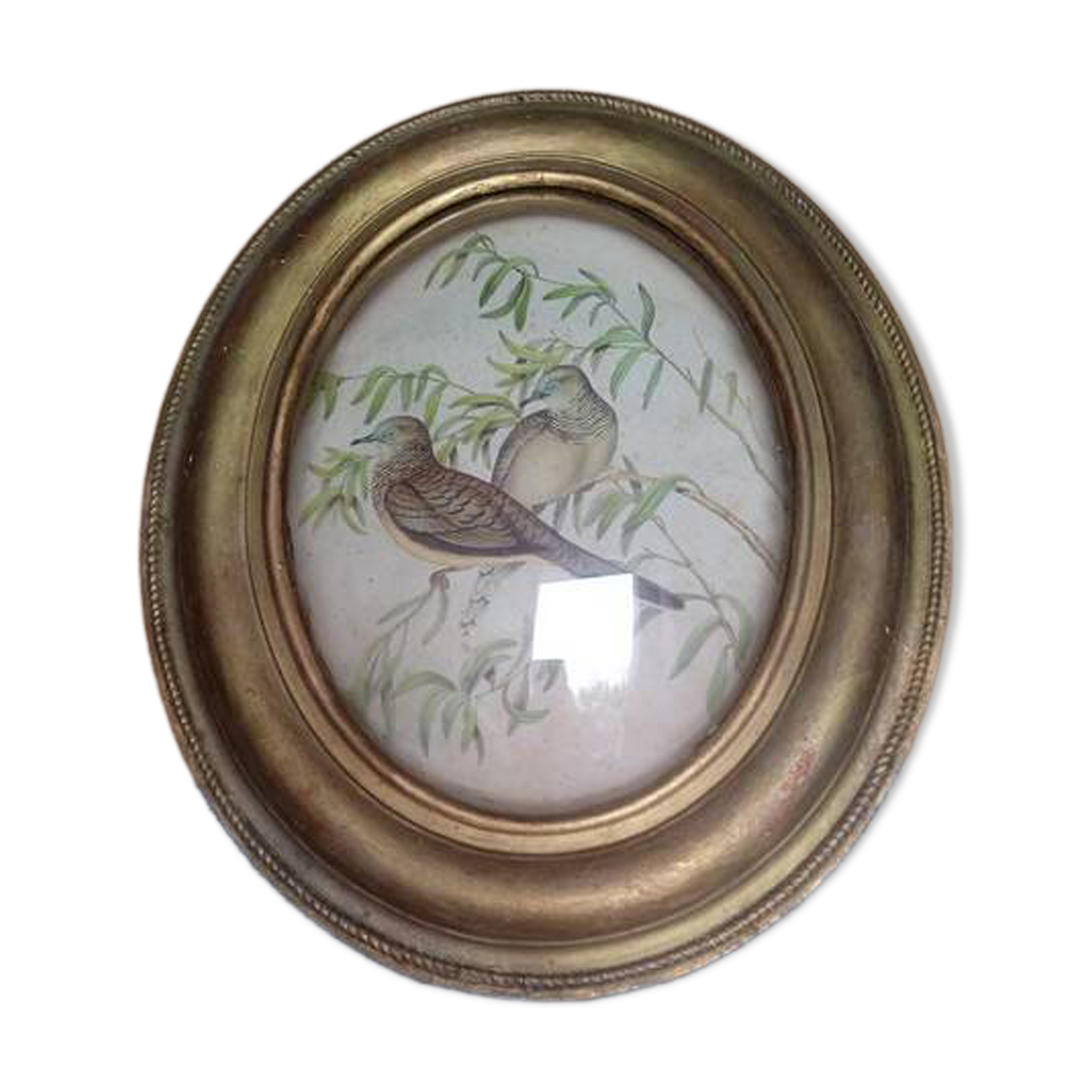 Antique oval curved glass frame 46/36c
