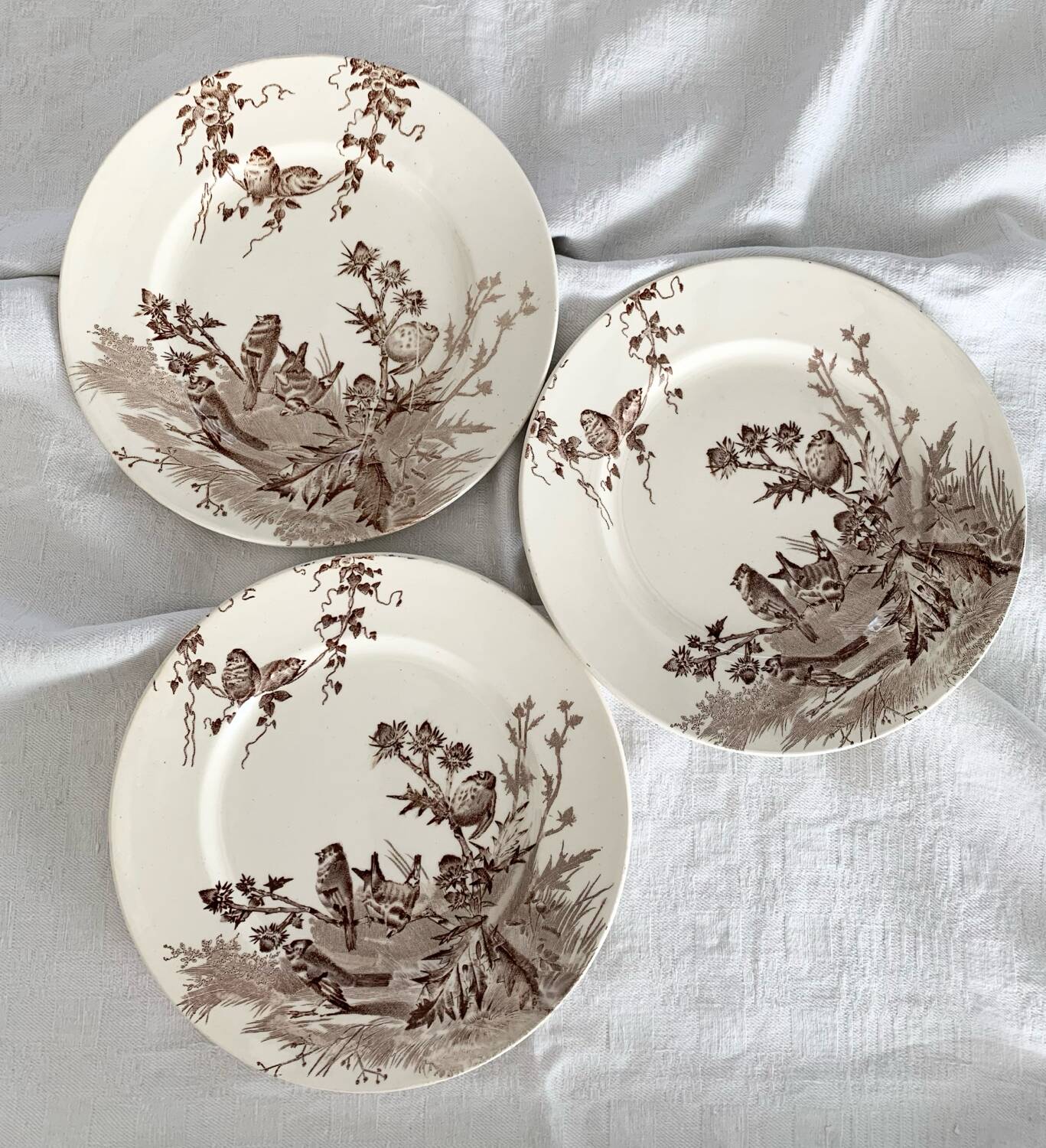 Dessert plates creil et montereau service chardonneret