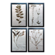 Old Herbarium 1894 four framed plates