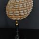 Cabinet of curiosities shell tonna luteostoma on base