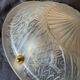 Lot de 4 Suspension vasques Charles Schneider