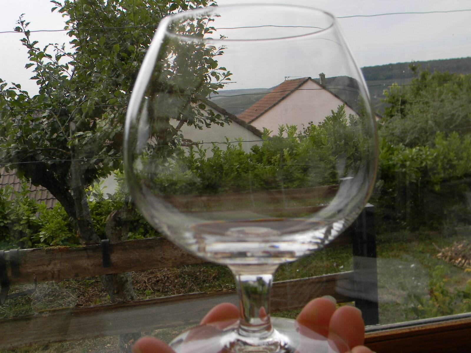 Set of 4 SEVRES crystal cognac glasses.