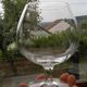 Set of 4 SEVRES crystal cognac glasses.