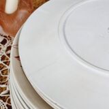 Set of 14 deep flat and dessert plates with defect FT Jasmins Badonviller