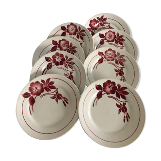 Old dishes, series of 8 flat plates