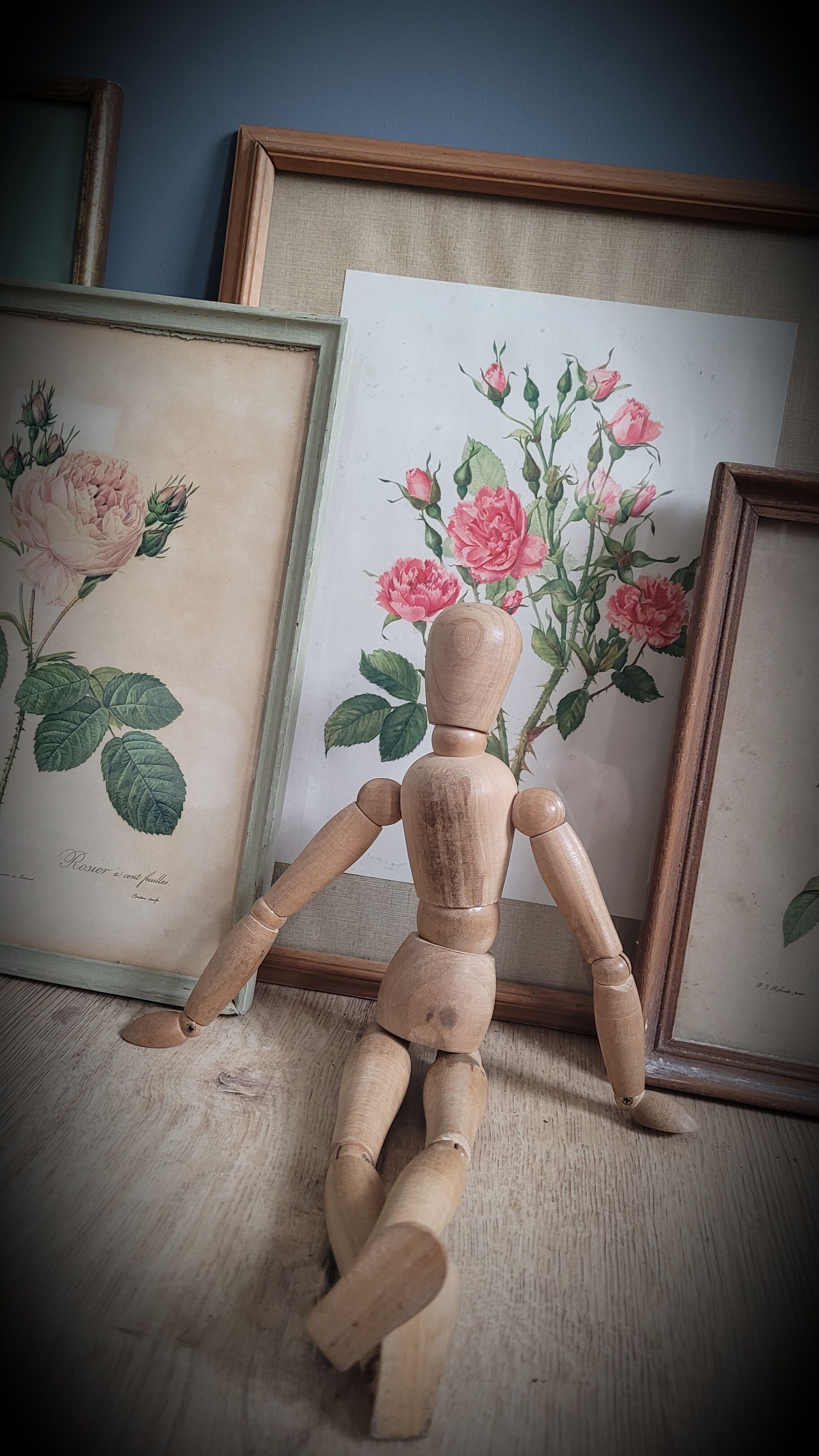 Litho Rose Eglantier