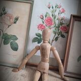 Litho Rose Eglantier