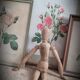 Litho Rose Eglantier