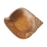 Shell solid wood dish