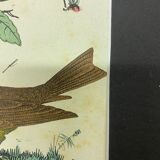 Naturalistic engraving birds