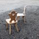 Paire de chaises de montagne