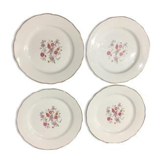 4 old plates