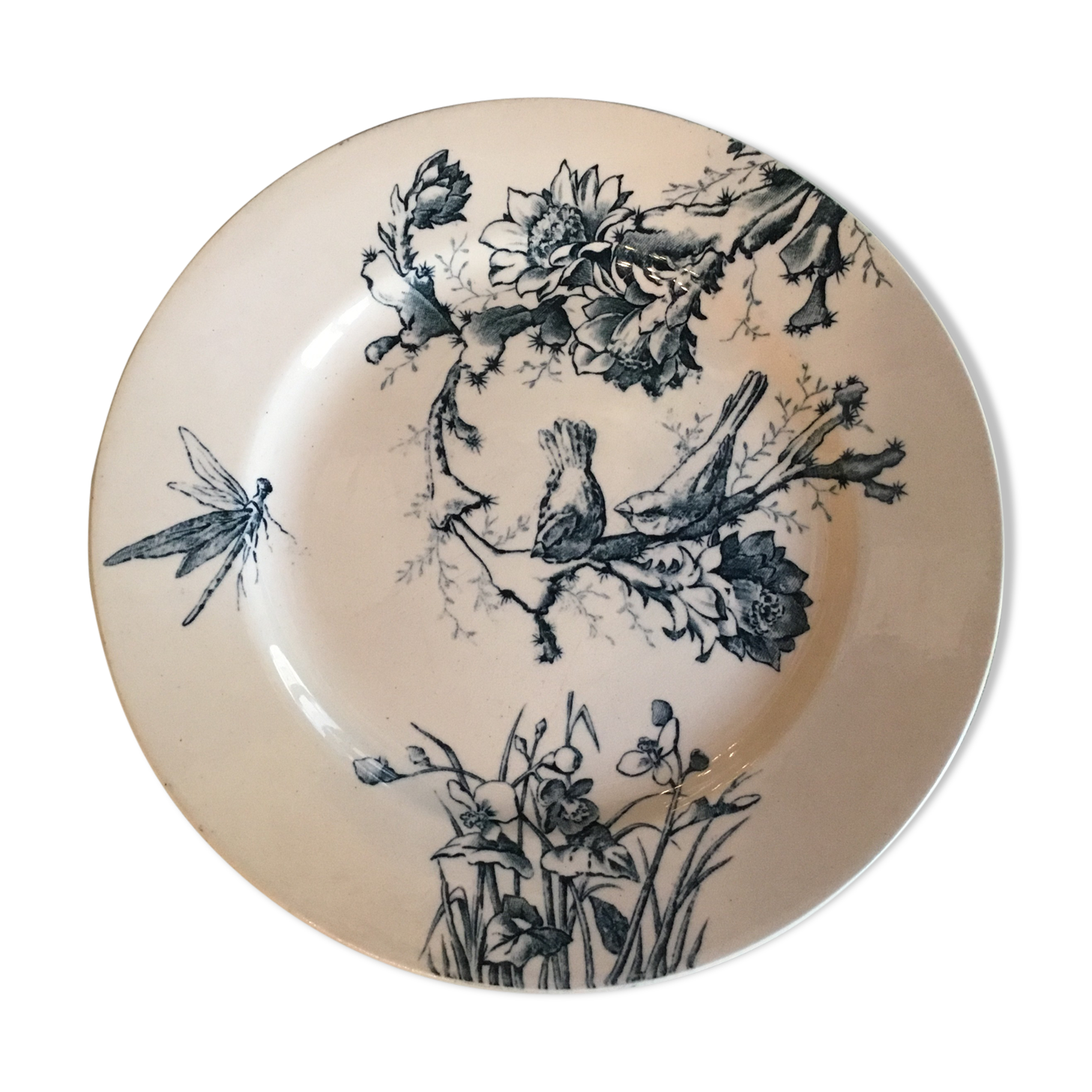 Plate Terre de Fer Birds