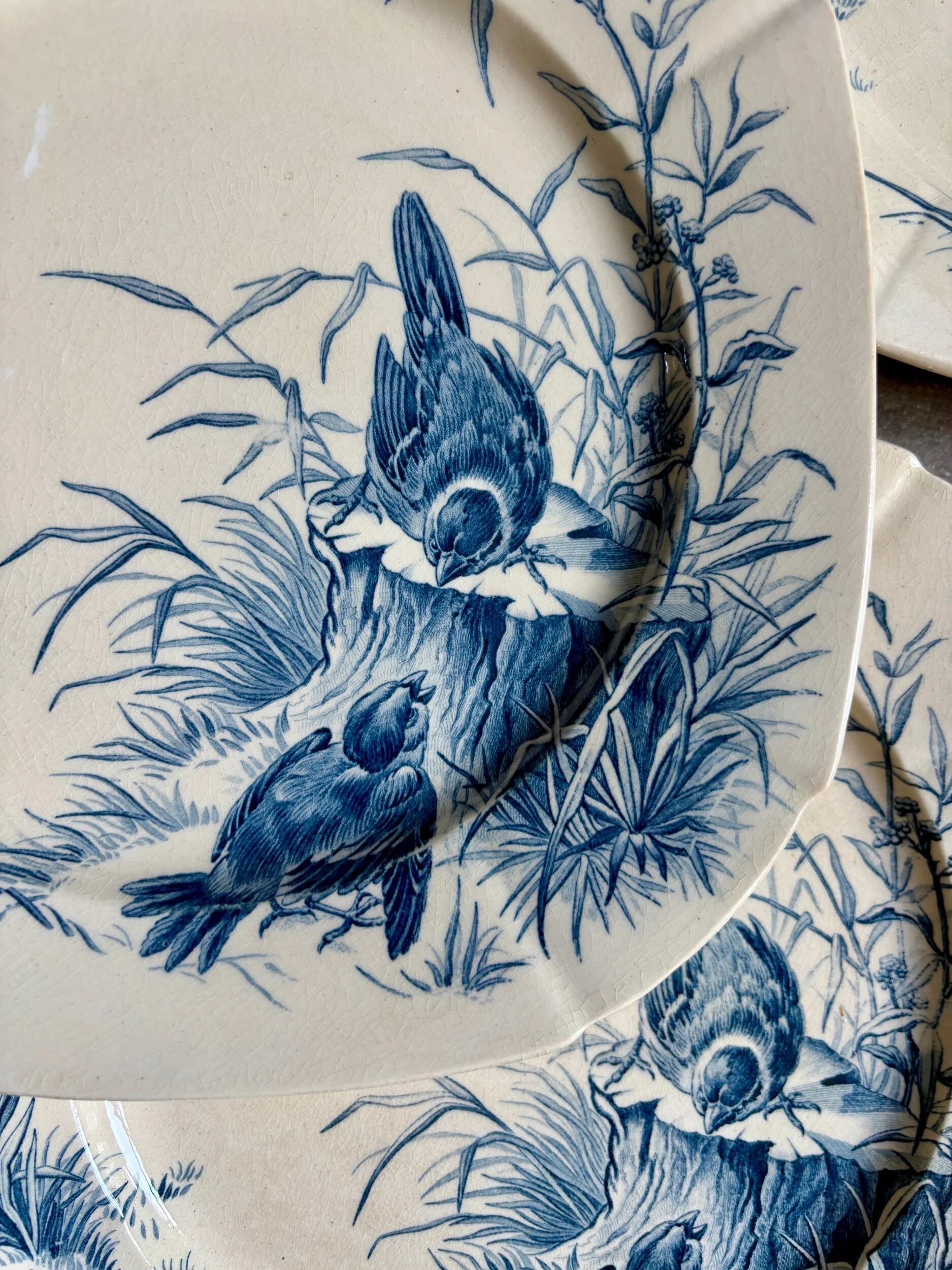 6 blue ironstone flat plates from Gien, "Birds" service, circa 1870, no. 1