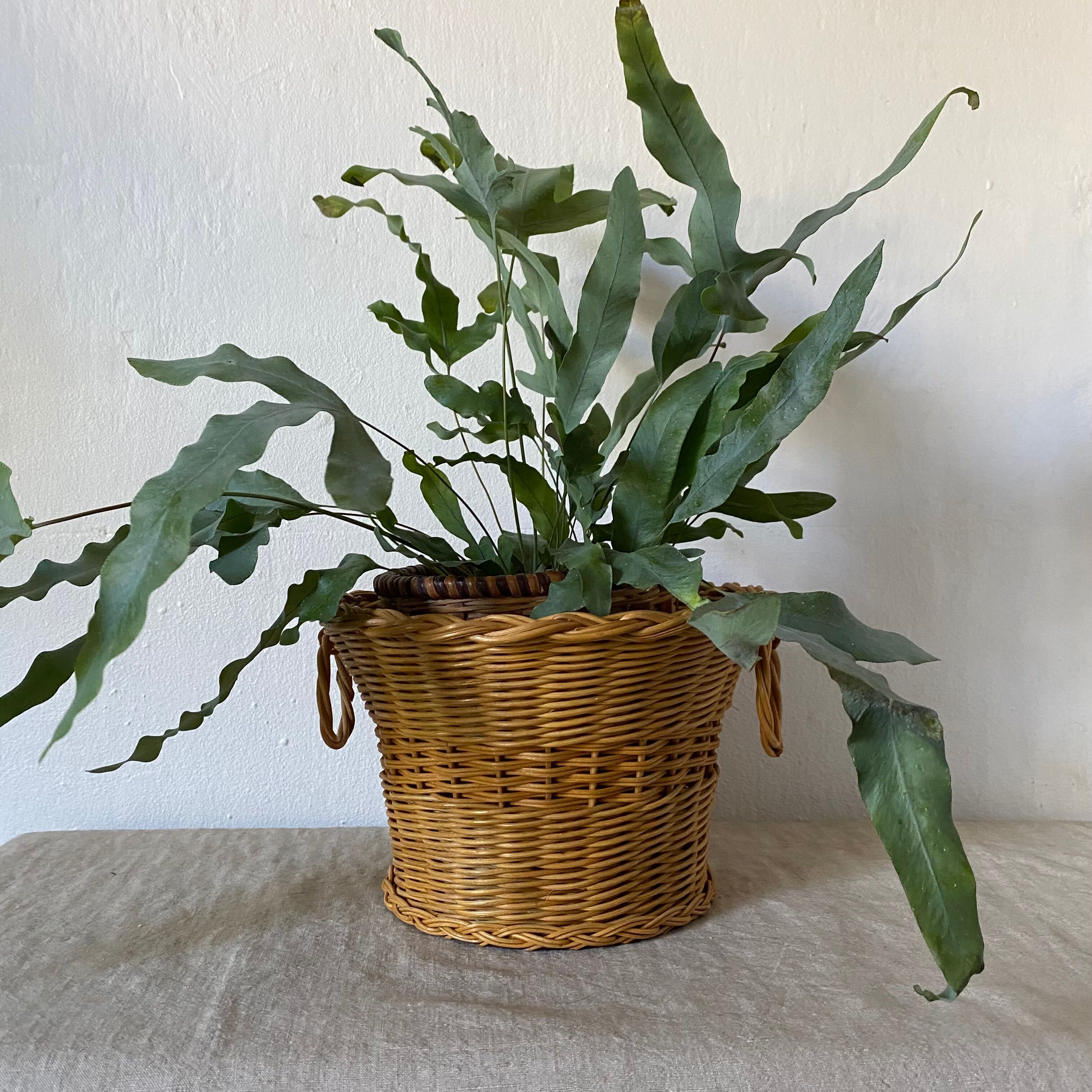Vintage woven wicker pot cover