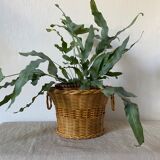 Vintage woven wicker pot cover