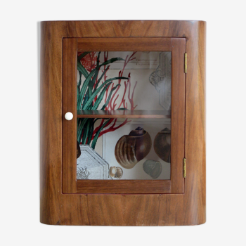 Wall window cabinet of mahogany curiosities