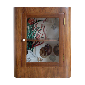 Wall window cabinet of mahogany curiosities