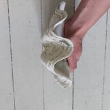 Bivalve