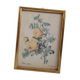 Rose lithograph frame Rosa Sulfura