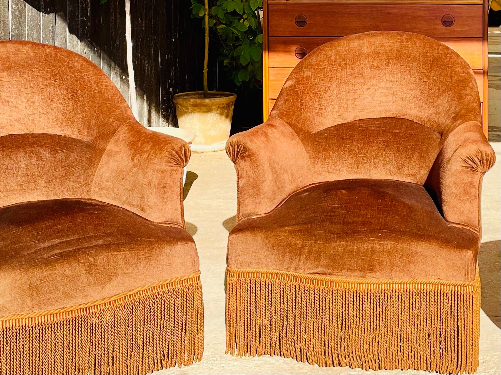 Pair of toad armchairs