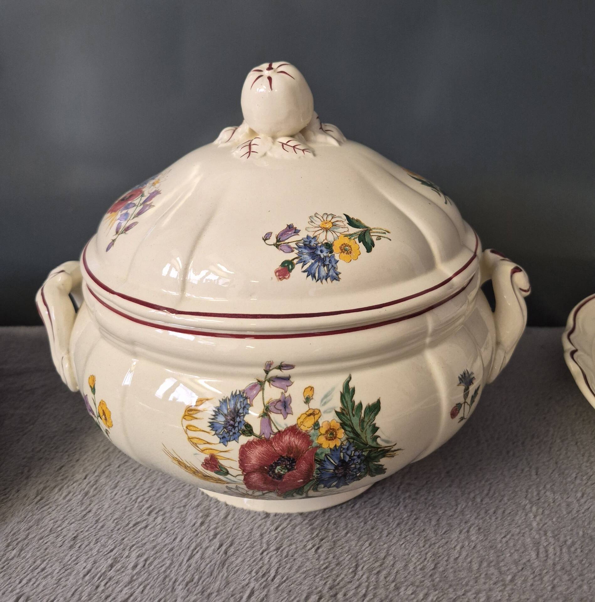 Sarreguemines France Agreste dinnerware service