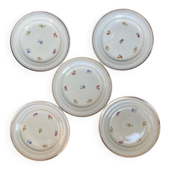 Assiettes dessert fleurs Ceranord st Amand