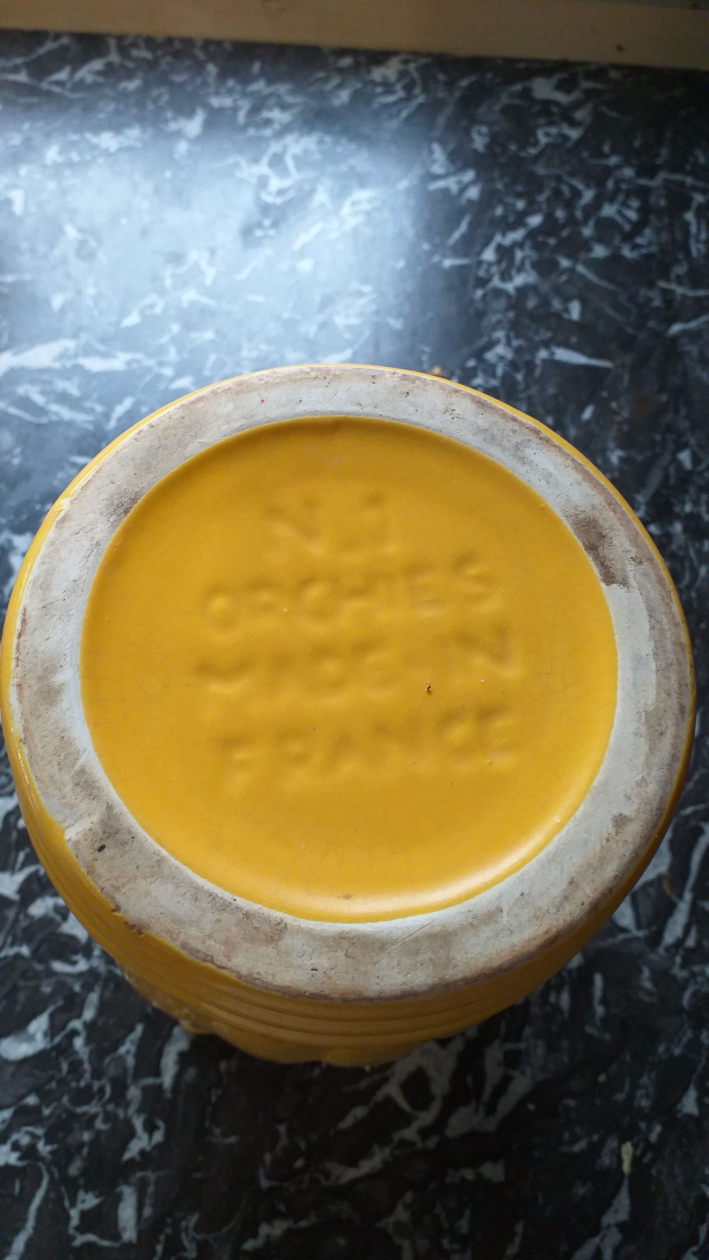 Yellow pitcher Orchies