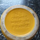 Yellow pitcher Orchies