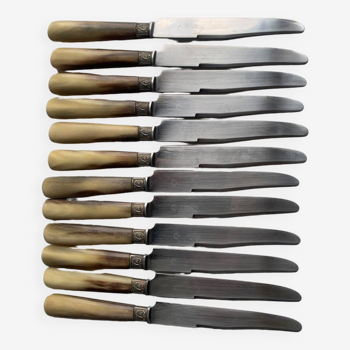12 old large knives Horn handle Stainless steel blade