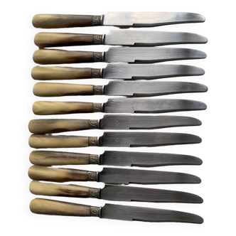 12 old large knives Horn handle Stainless steel blade
