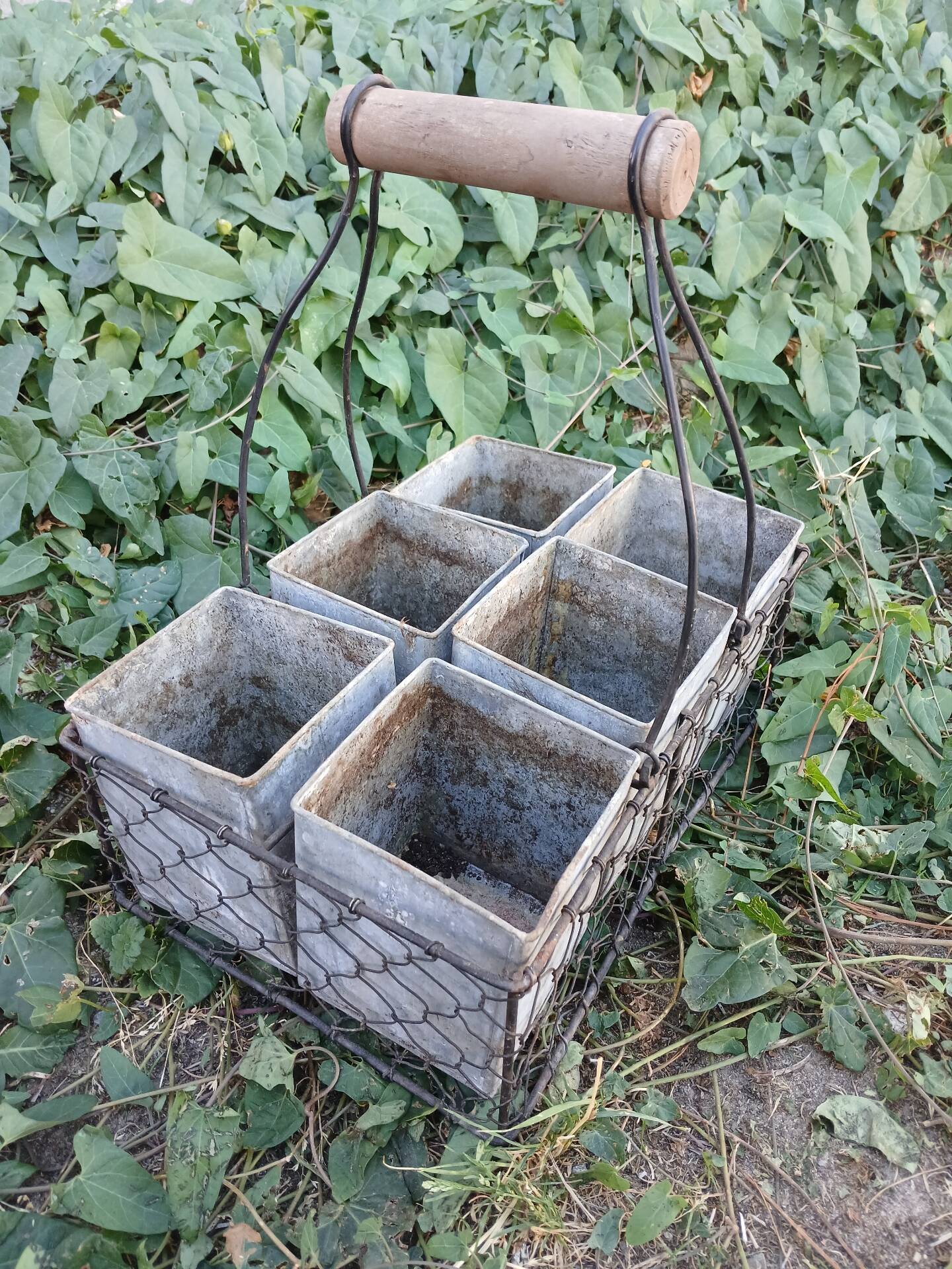 Wire mesh basket