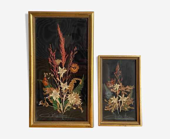 Lot de 2 cadres fleurs séchées avec edelweiss signés