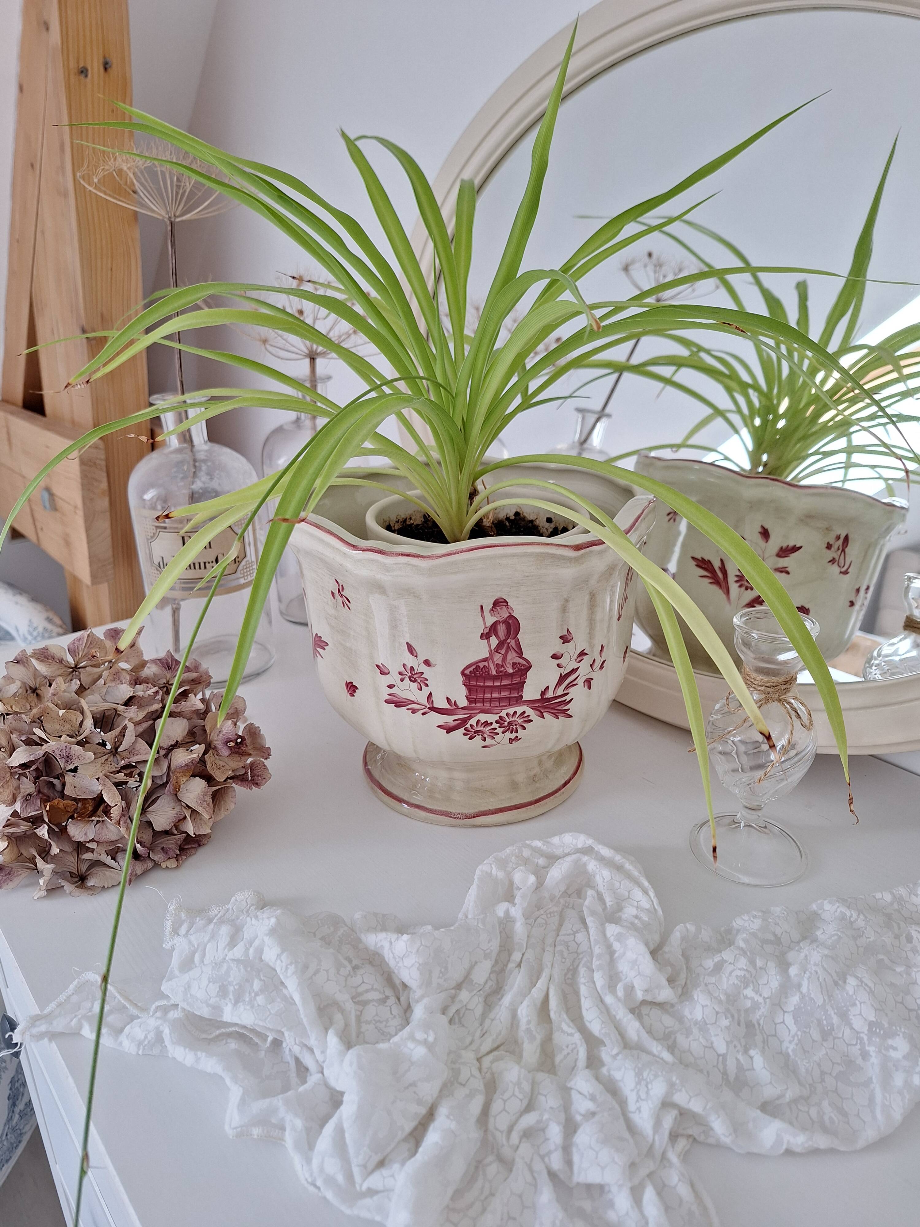 Longchamp pink planter