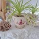 Longchamp pink planter
