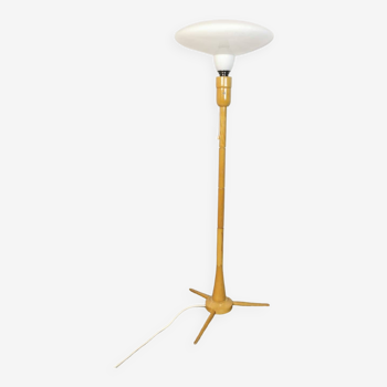 Floor Lamp by Krasna Jizba