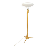 Floor Lamp by Krasna Jizba