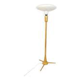 Floor Lamp by Krasna Jizba