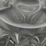 Pique Crystal flowers P. D'avesn