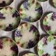 Set of eight flat dessert plates in barbotine earthenware with grape decoration – circa 1900.