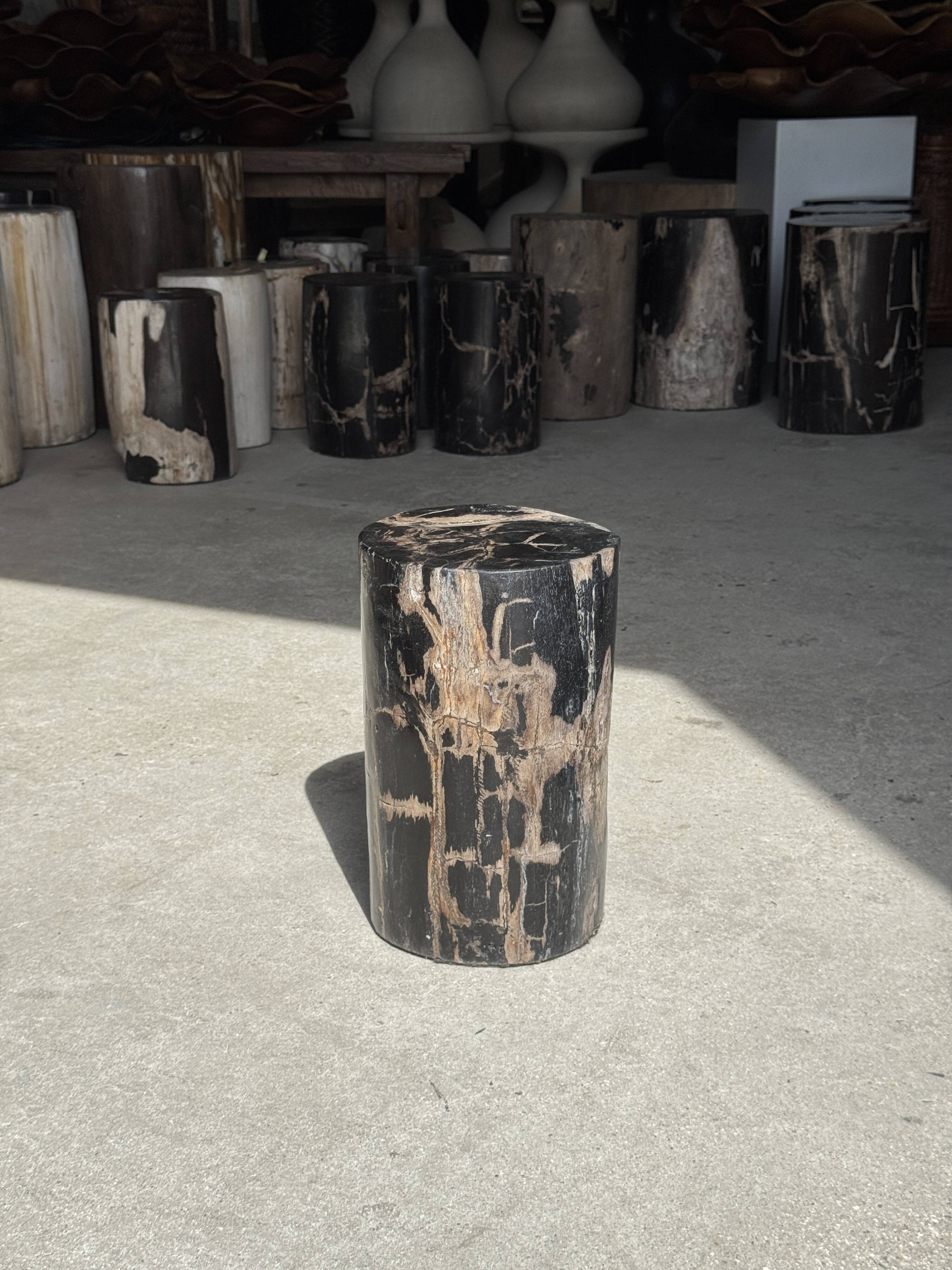 Table d'appoint en bois pétrifié noir